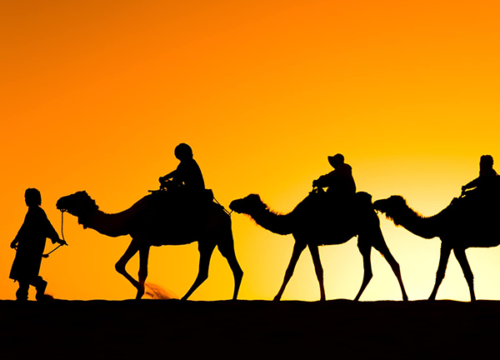 Sunset Camel Ride _ Dinner in Agafay Desert