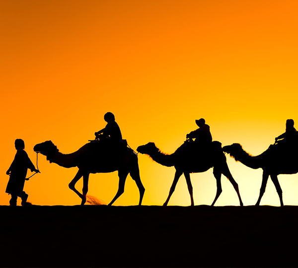 Sunset Camel Ride _ Dinner in Agafay Desert