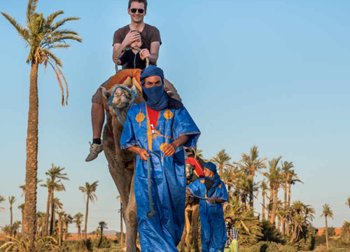 Camel Ride Tour in Marrakech Palm Groves