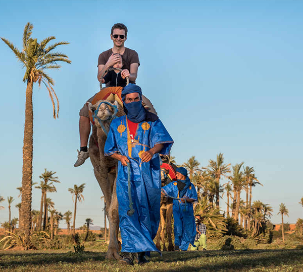 Camel Ride Tour in Marrakech Palm Groves