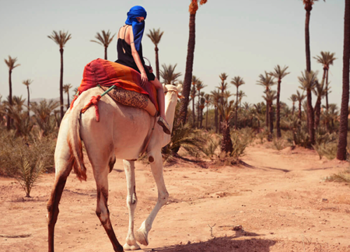 1 Day Tour Camel Ride and Quad Biking in Marrakech