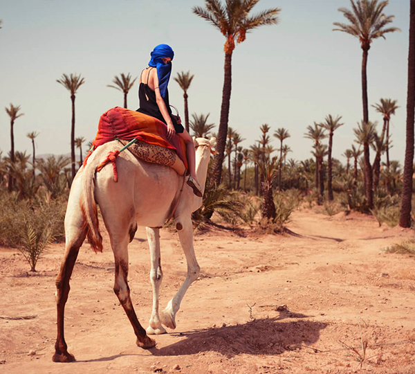 1 Day Tour Camel Ride and Quad Biking in Marrakech